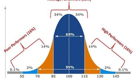 IQ tests, their limited purpose in special education and how they can do more harm than good.