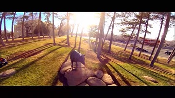 "University of New Mexico"