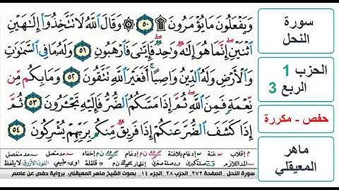 سورة النحل - الحزب 1 - الربع 3 - حفص - ماهر المعيقلي - مكررة