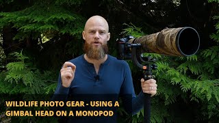 Wildlife Photography Gear  Using a Gimbal Head on a Monopod (2020)