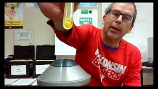net ionic equation lab intro video