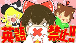 ぽこにゃん Youtube