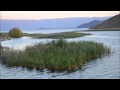 Сейфуллин Жолбарыс Самалы 