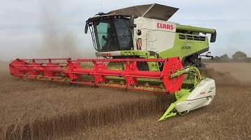 Lexion 760tt cutting spring linseed