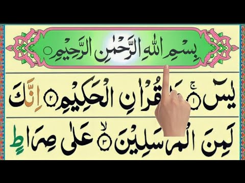 🕋Surah Yasin 0036🕋(YASEEN)Surah AR Rehman Qari javed ilahi 😭 36سورہ یس🌹| Ar_Rahman🌟| Quran Ep 1171