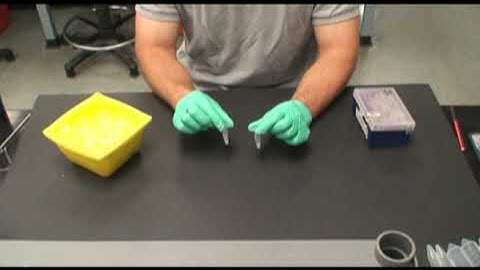 Bacterial Transformation-Creating Transformed Cells (Part 3)