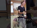 油まみれの犬に抱きつかれても嫌な顔一つしない新入社員の優しさ。
