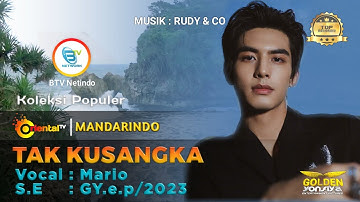 MARIO - TAK KUSANGKA | Lagu Mandarin Indonesia#mandarindo