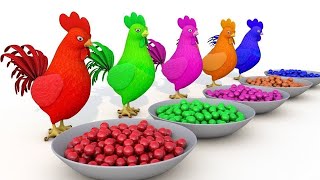 Kucing - Bebek - Kambing - Lagu Anak Anak