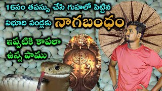 నాగబంధనం ఉన్న విభూది పండ్లు చూడండి  | Mysterious temples in Telugu | Historical Places | Nayanalappa