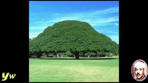 60 Al Mumtahinah سورة الممتحنة القارئ عبد الباسط عبد الصمد