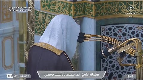 تلاوة جميلة لفواتح سورة الزمر للشيخ أ.د. محمد برهجي | مغرب الإثنين 2 شوال 1446هـ