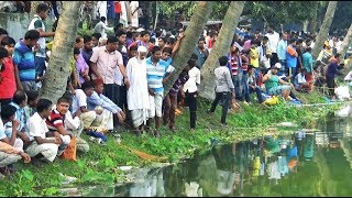 : Real Fishing Festival Video By Fish Watching