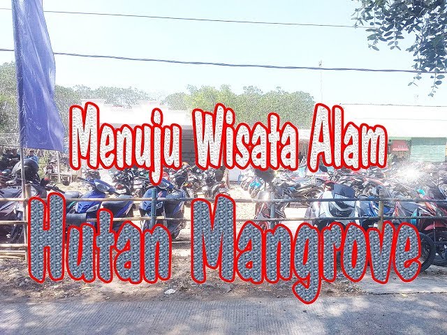 Menuju Wisata Alam Hutan Mangrove class=