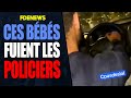 Ces bbs fuient une mort certaine