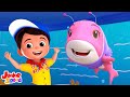 Bébé Requin Chansons + Plus Préscolaires Vidéos et Comptines pour Bébés