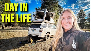 LIVING ON PUBLIC LAND IN MY 4RUNNER WITH MY DOG