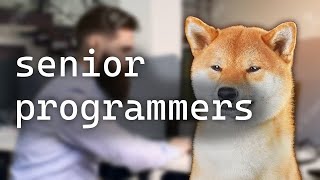 Senior Programmers...