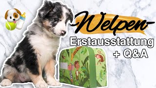 Q&A zu Unserem Welpen + Erstausstattung 🐶 | Anika Teller