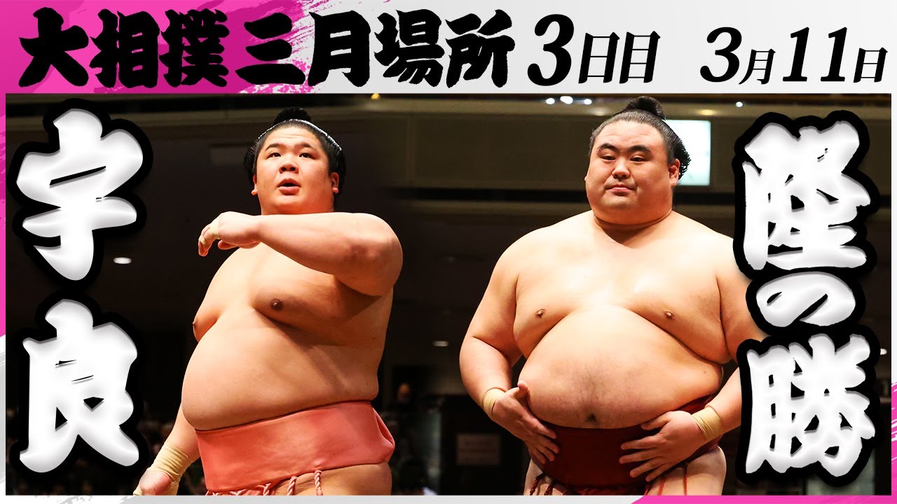 大相撲宇良関　グッズ5点 宇良 – お相撲さんのショッピングモール SuMALL（すも〜る）