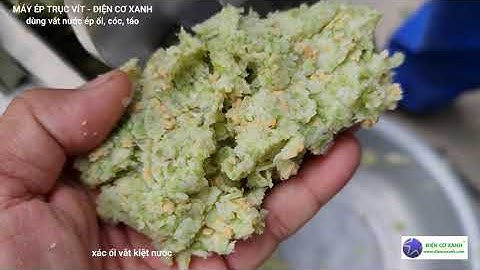 Máy vắt nước cốt ổi - Điện Cơ Xanh 0984467870