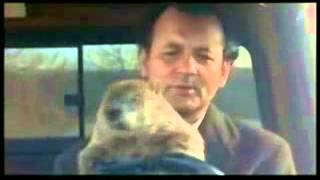 Groundhog Day _Don&#39;t Drive Angry