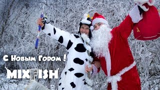 Поздравляем с Новым Годом 2017!