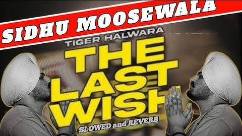 THE LAST WISH (Full video song ) | Tiger Halwar |Latest Punjabi Song 2024 @SidhuMooseWalaOfficial