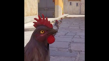 CS2 Chicken Edit
