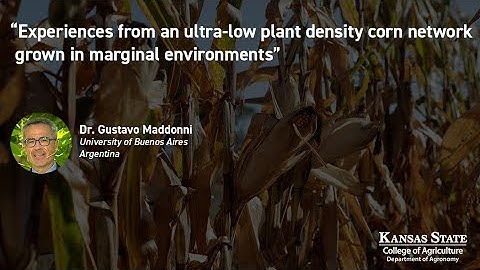 Experiences from an ultra-low plant density corn network grown in marginal environments-Dr. Maddonni