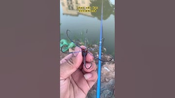 lưỡi câu lục   tỳ (8 chuyên chép trôi )