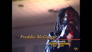 Freddie McGregor - Stop Loving You (  Live National Arena, Jamaica ).