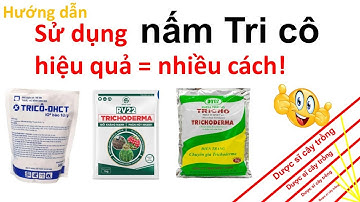 Cách sử dụng nấm trichoderma hiệu quả nhiều cách | Dược sĩ cây trồng