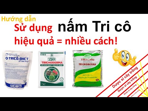 Video: Ứng dụng Trà ủ: Tìm hiểu Cách sử dụng Trà ủ trong vườn