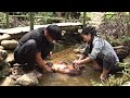 The wild boar was unlucky  6 months of survival in the wild  episode 23