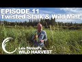 Survivorman | Les Stroud&#39;s Wild Harvest | Season 1 | Episode 11 | Twisted Stalk &amp; Wild Mint