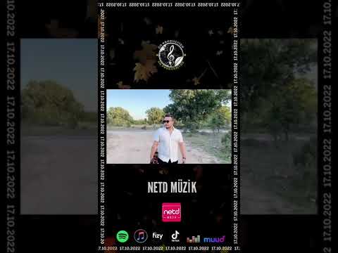 Enes Akdeniz Kime Ne Shorts