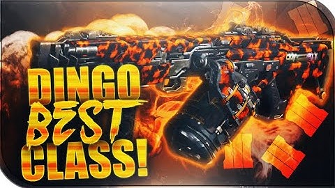 Best Dingo Class setup!!