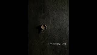 wandering leaf 001