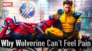 Why Wolverine Can't Feel Pain (At Lest In Real Life)