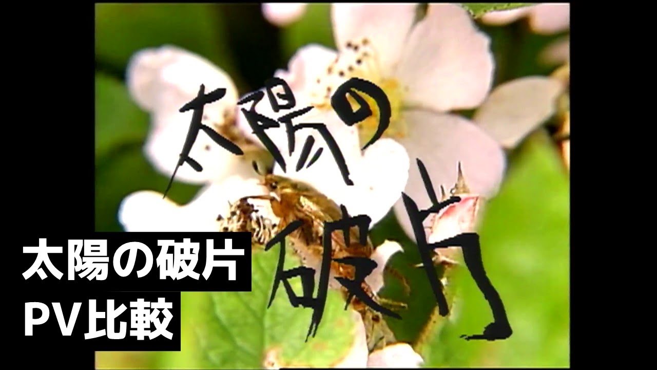最終早いもの勝ち【限定】尾崎豊　ミストグラフ　山と太陽 m13908817939_1.jpg?1552279094