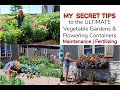 My Secret Tips | Have the Ultimate Veggie Gardens & Flowering Containers | Maintenance&Fertilizing