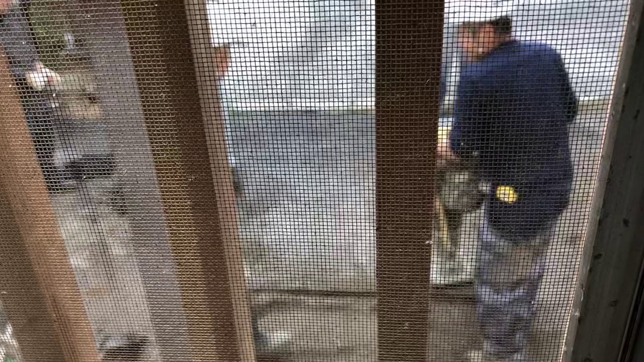 japanese pancake I wanted to sleep in 🤬