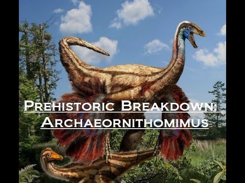 Prehistoric Breakdown: Archaeornithomimus