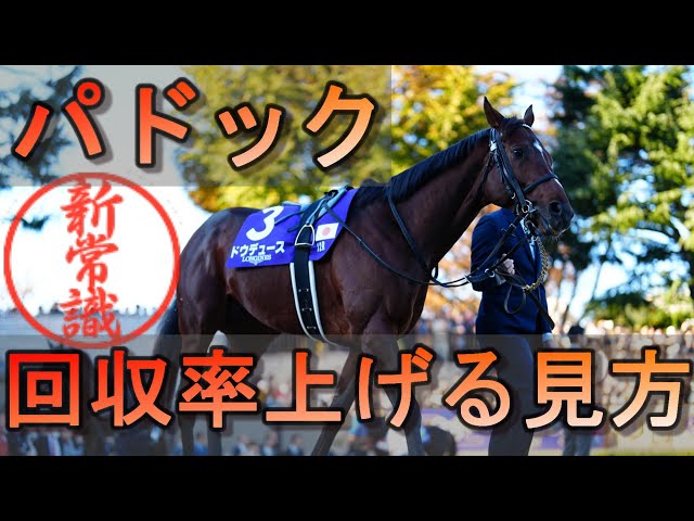 How to read the paddock] For those who want to win the maiden race