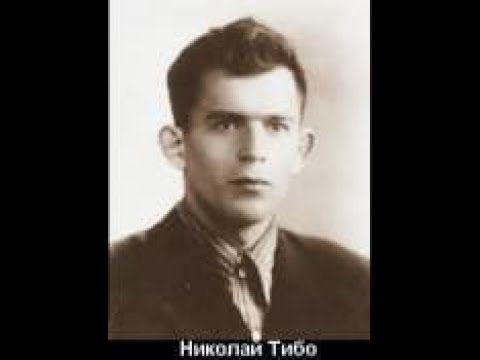 Видео: Николас Тибо-Бриньолес може случайно да намери идола на Сорни Най - Алтернативен изглед