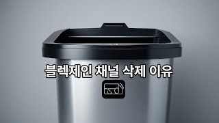 시애틀 블랙제인 채널 삭제 이유