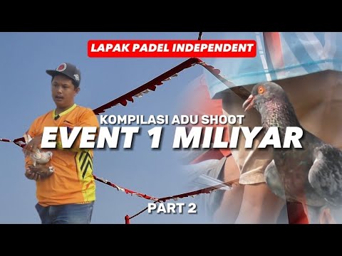 KOMPILASI ADU SHOOT LOMBA MERPATI KOLONG LAPAK PADEL EVENT 1 MILIYAR