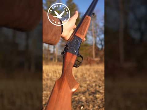 Обалденная чехословацкая вертикалка BRNO ZH-301 #охота #оружие #hunter #shotgun #hunting #guns