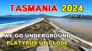Tasmania 2024 / Pt 8  Spectacular Beaches & 50 Metre AirWalk
